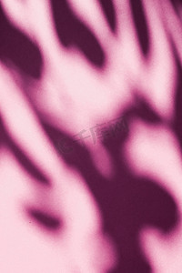 抽象艺术、植物阴影覆盖在腮红粉红色背景上，适合度假奢华和复古平面设计