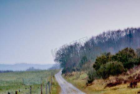 夏日早晨，农场雾蒙蒙的道路。