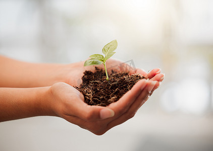 可持续、生态友好和植物生长与土壤相结合，以保护环境和生态系统。