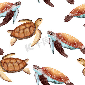 手绘水彩无缝图案与海龟。