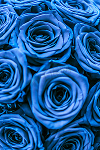 蓝色花束摄影照片_蓝色玫瑰的魅力豪华花束，鲜花盛开作为花卉节日背景