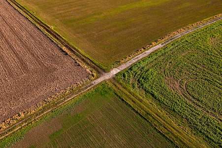 秋天，从鸟瞰角度看，两条土路在田野中央形成了一个引人注目的十字路口