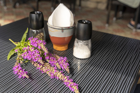 盐和胡椒瓶、餐巾架和桌上的野花