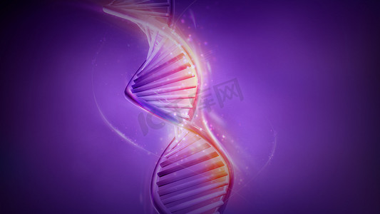 紫罗兰色背景上的双链螺旋 DNA 模型，3D 渲染。