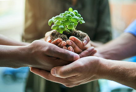 租房app启动页摄影照片_一群或一群生态人士手中的植物进行团队合作和成长，以促进农业和绿色企业的合作。