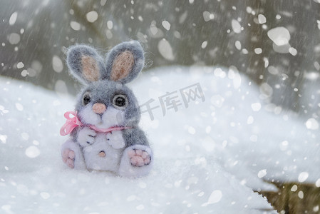 雪中​​、圣诞节或复活节概念中的滑稽兔子。