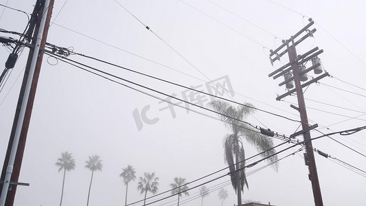 加利福尼亚州城市街道雾中的棕榈树、雾蒙蒙的天气和电线