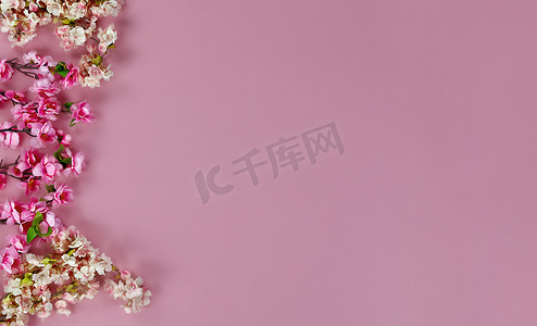 母亲节或复活节假期粉色背景樱花左侧边界的俯视图