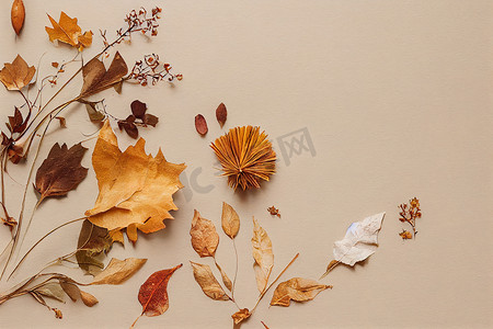 粉花摄影照片_秋天构成纸空白、干花和叶子