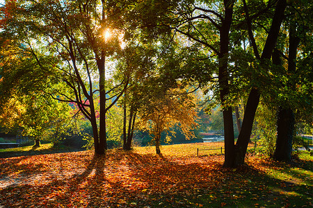 金秋十月，慕尼黑著名休闲胜地——Englishgarten。