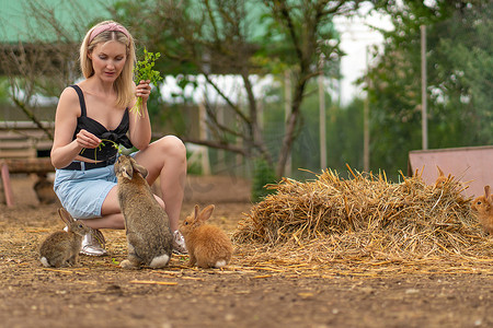 女孩兔子复活节棕色欧芹喂养兔子白色蓬松的花园，从野兔啮齿动物为头发从小家养，美丽明亮。