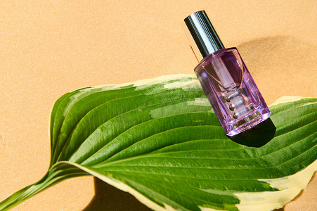 沙色背景绿叶上紫色瓶保湿滋养护肤化妆品