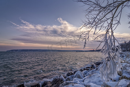 冬季景观、日出/日落和结冰的树枝上的冰柱。