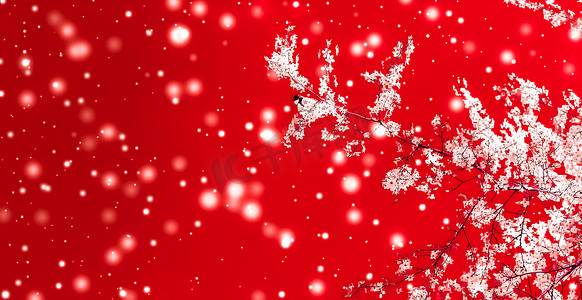 圣诞节、新年红色花卉背景、节日贺卡设计、花树和雪花作为豪华美容品牌的冬季促销背景