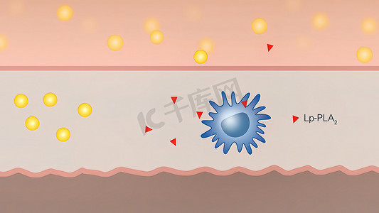 巨噬细胞和细胞的 3D 医学插图