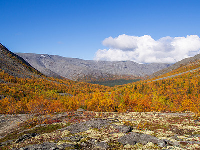 半岛背景摄影照片_在多云天气的背景山峰上的秋天五颜六色的苔原。