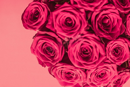 浪漫奢华的粉红玫瑰花束，鲜花盛开，作为花卉假日背景