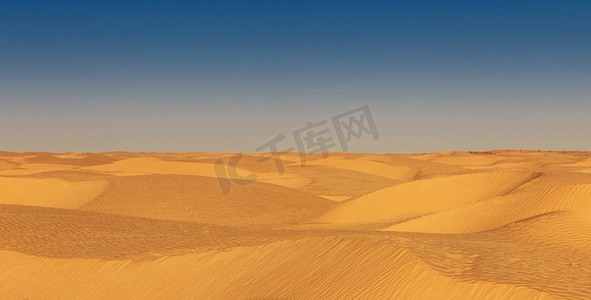 撒哈拉沙漠沙丘全景