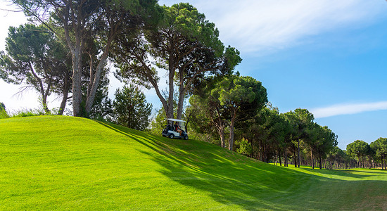 阳光明媚的日子里，可以欣赏到美丽的高尔夫球场的全景，配有越野车和松树。