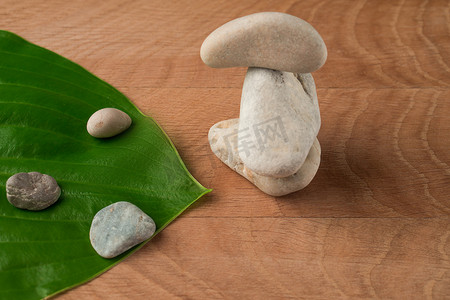 木板背景下的绿叶、任性的宿主和各种 Velecheny 的石头