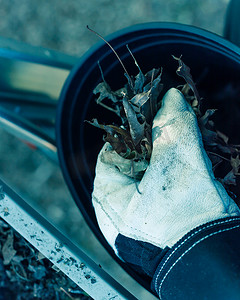 过滤后的图像特写手戴手套将干树叶和污垢从排水沟清洁中放入桶中