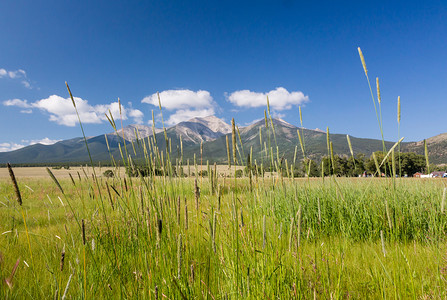 普林斯顿山 CO 的农场和草地