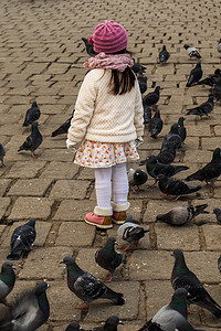 和平的白鸽摄影照片_灰鸽子中的小女孩成群结队地生活在城市