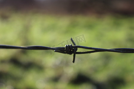 汉普郡摄影照片_在模糊的田野背景前关闭带刺铁丝网。