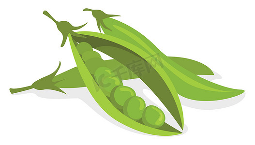 绿色食物插图摄影照片_豌豆，插图，白色背景上的矢量