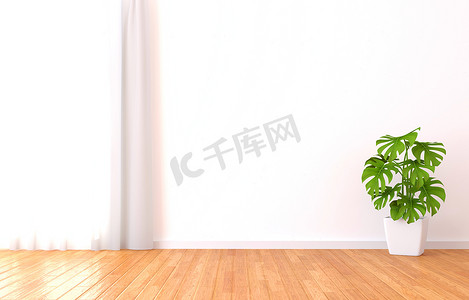 窗帘窗帘样机摄影照片_阳光明媚的白色房间里的绿色植物。 