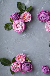 绿色玫瑰花摄影照片_粉红玫瑰躺在灰色的混凝土背景上。
