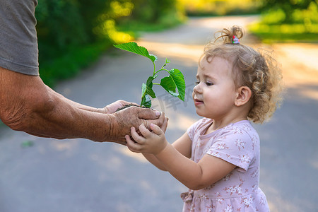 孩子和奶奶正在植树。