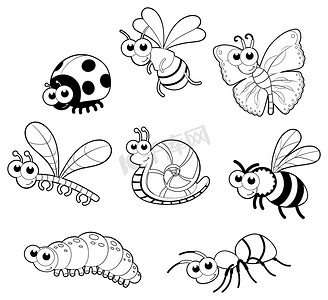 蜜蜂和蝴蝶摄影照片_虫子和 1 只蜗牛。