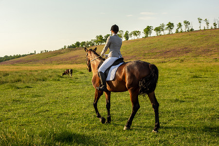 年轻女子在绿色的田野上骑马