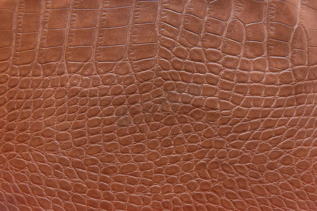 棕色抽象图案皮革自然背景材质纹理