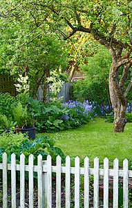色彩缤纷摄影照片_色彩缤纷的家庭花园，在阳光明媚的春日户外生长着各种植物、树木和花卉。