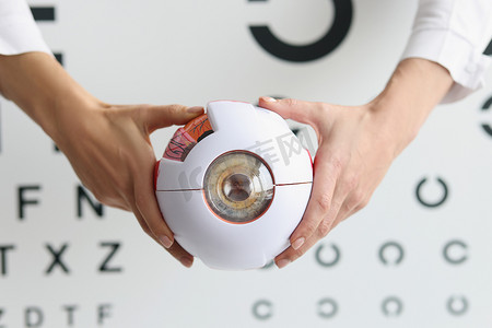 眼科医生持有部分眼模型、眼样本、医疗保健