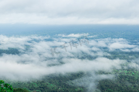 漂浮的云摄影照片_漂浮在森林上方的云景观