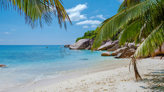 普拉兰塞舌尔热带岛屿，拥有海滩和棕榈树，Anse Lazio 海滩，棕榈树矗立在塞舌尔 Anse Lazio 荒凉的热带岛屿梦幻海滩上