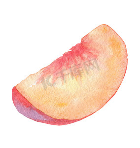 手绘白色背景摄影照片_白色背景上的桃子水果水彩片，用于品牌设计、厨房装饰
