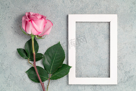 生日模板摄影照片_混凝土表面上的一朵粉色玫瑰和白色木框、设计或贺卡模板、顶视图、平躺