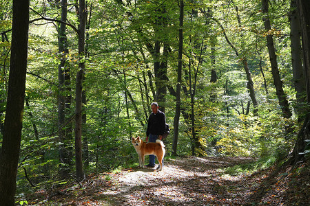 人和狗在森林里享受