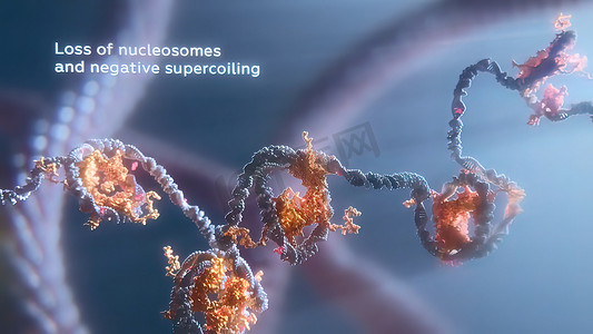 DNA 细胞的破坏插图