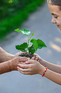 孩子和奶奶正在植树。