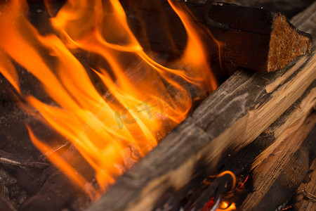 火和火焰从木头中升起。