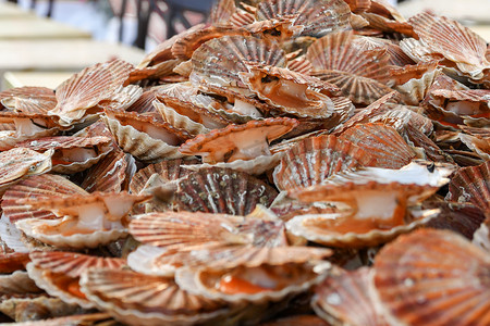 法国迪耶普海鲜市场上的新鲜扇贝