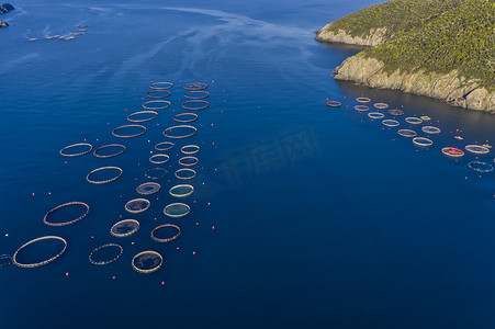 广告海鲜摄影照片_希腊哈尔基迪基有浮动笼的养鱼场