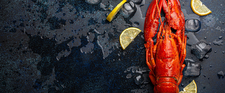 蓝石背景上带柠檬和冰块的龙虾顶视图