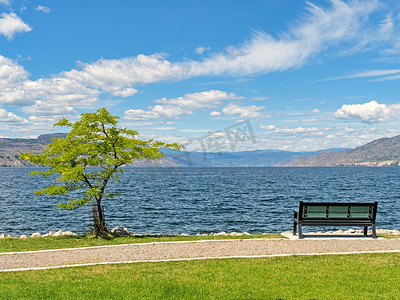 Okanagan 湖风景概览，海滨有长凳和树木