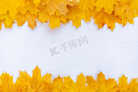 边框纹理金色摄影照片_白色背景顶视图上的秋叶框秋季边框黄色和橙色叶子复古结构表复制文本空间。